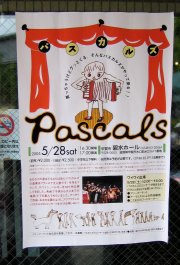 Pascalsのポスター