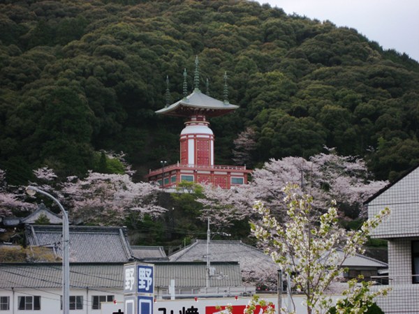 薬王寺と桜